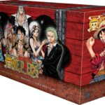 coffret one piece dressrosa