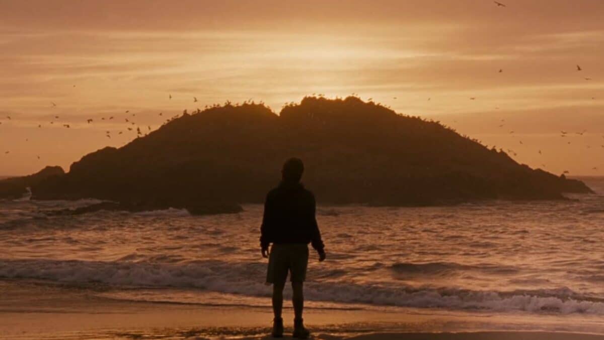 into the wild