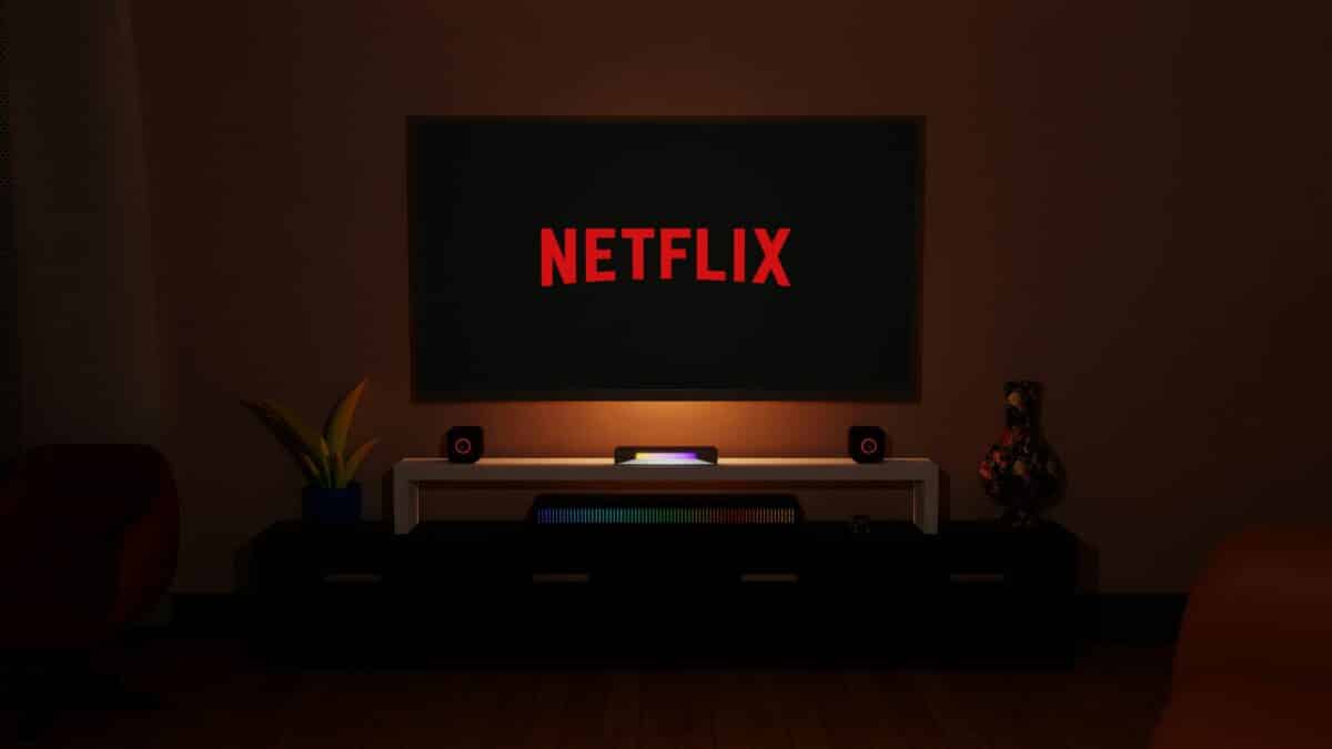 netflix nombre abonnés