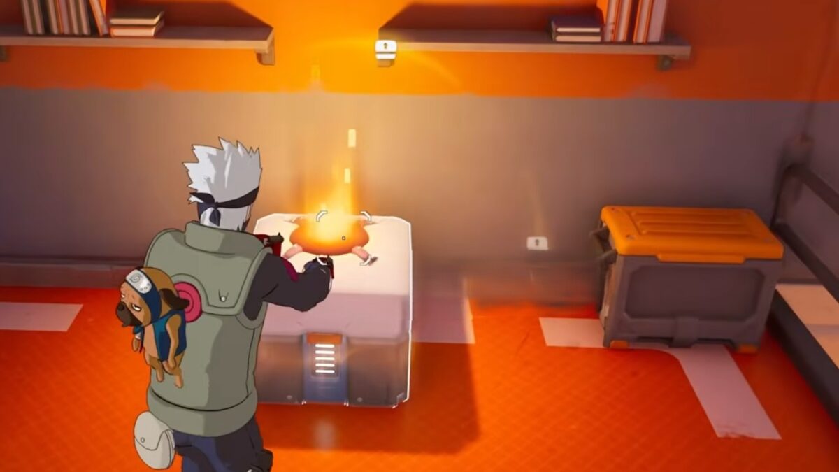 cache overwatch