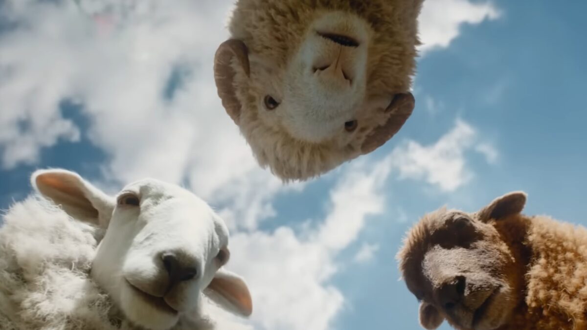 the sheep detectives