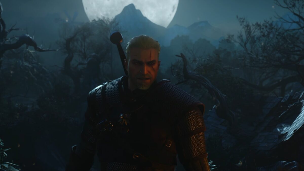 the witcher III wild hunt