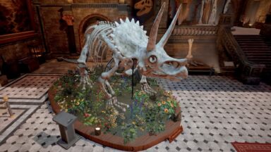 dinobones
